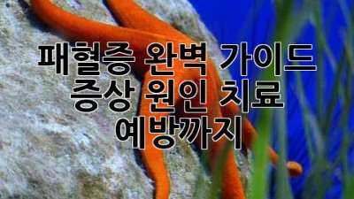 패혈증 완벽 가이드: 증상, 원인, 치료, 예방까지