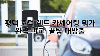 평택 고덕 렌트, 카셰어링 뭐가 🤔? 완벽 비교 & 꿀팁 대방출! 🚗💨