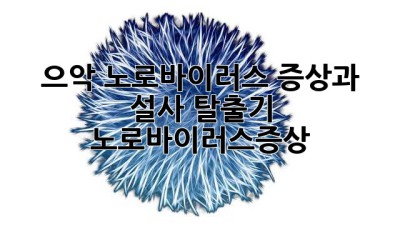 🥶 으악! 노로바이러스? 증상과 설사 탈출기 🚽 #노로바이러스증상